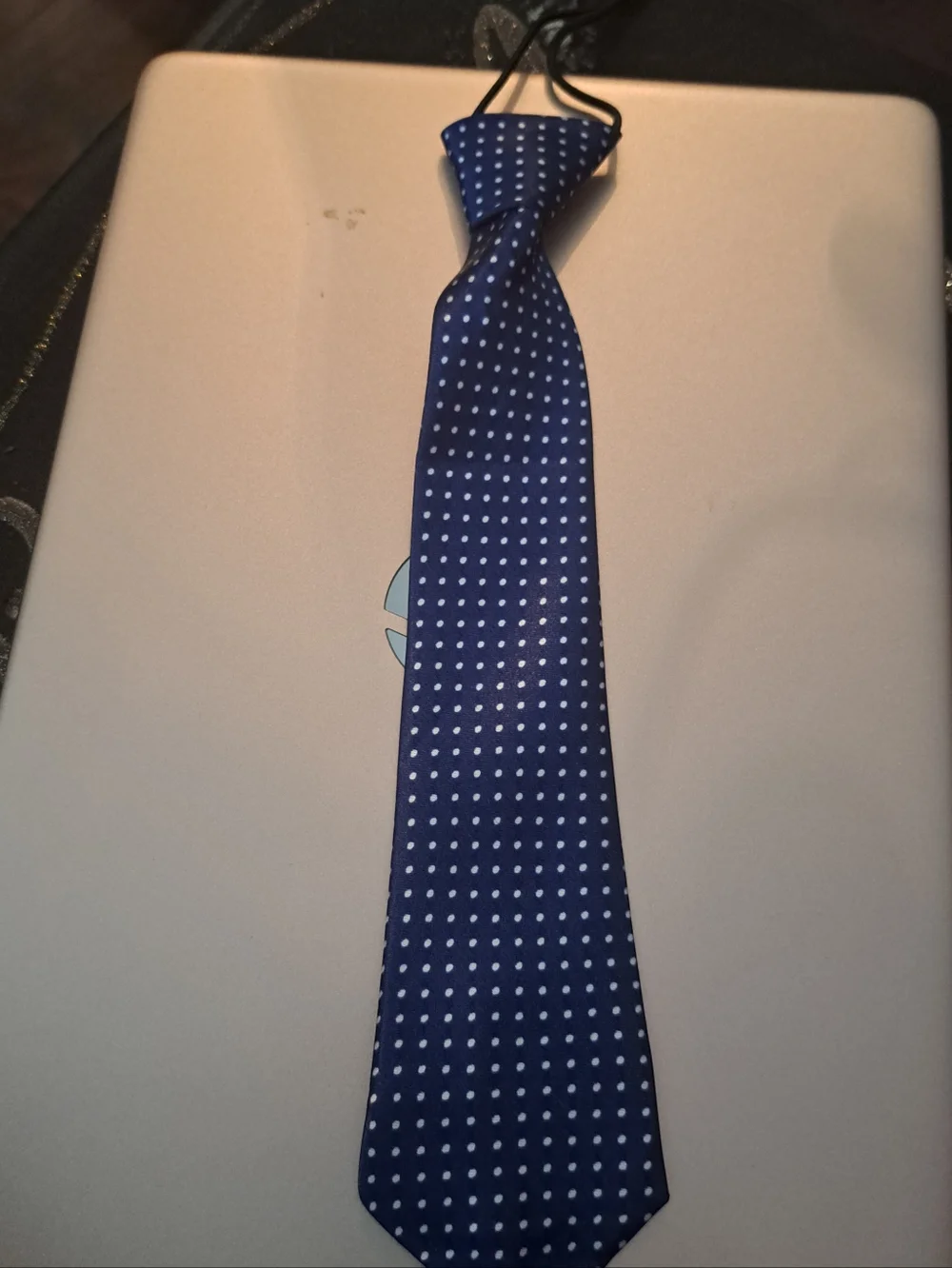 Blue Polka Dot Neck Tie